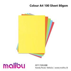 COLOUR A4 100 SHEET 80gsm