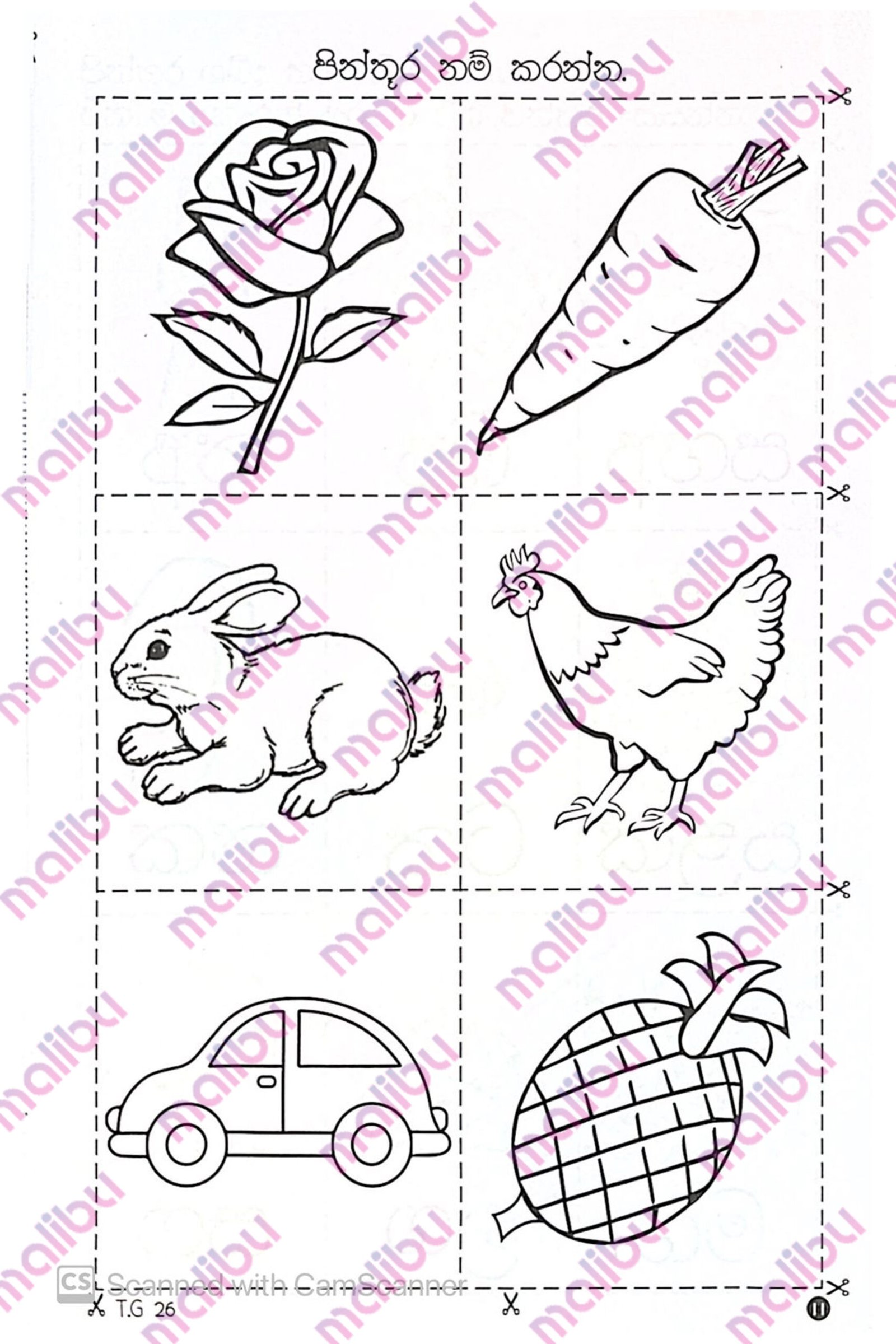 Muthu Akuru Sisu Pawarum Potha Grade 1 – Sinhala - Image 3